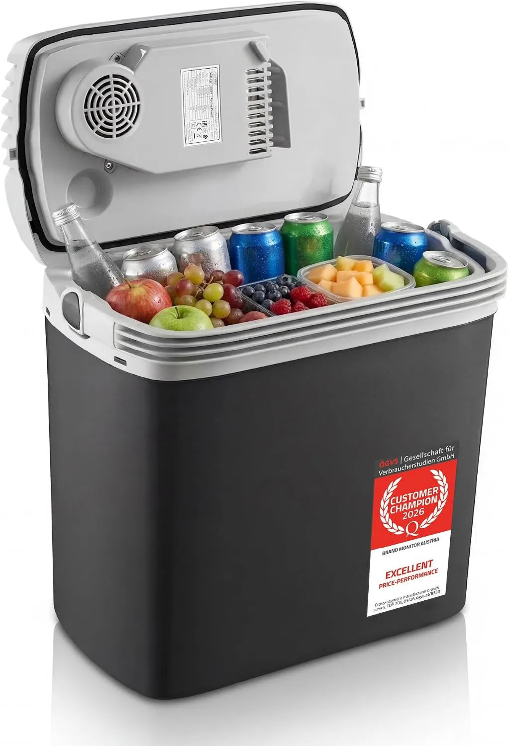 TZS First Austria, Elektryczna chłodnica, 20 l, 12 V, TZS PD 3 12 V / 230 V / USB-C, przenośna mini lodówka, czarny, potrójne zasilanie z USB- C 12 V/230 V/USB-C